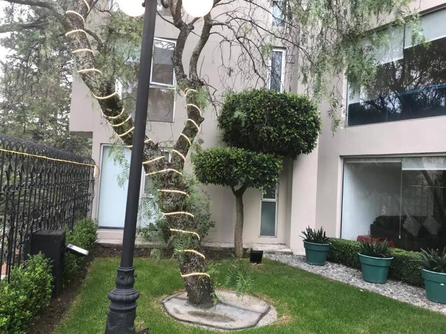Hermoso Departamento En Bosques De Las Lomas Dos Habitaciones Μεξικό Εξωτερικό φωτογραφία